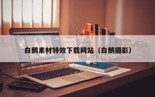 兴安盟白鹅素材特效下载网站（白鹅摄影）